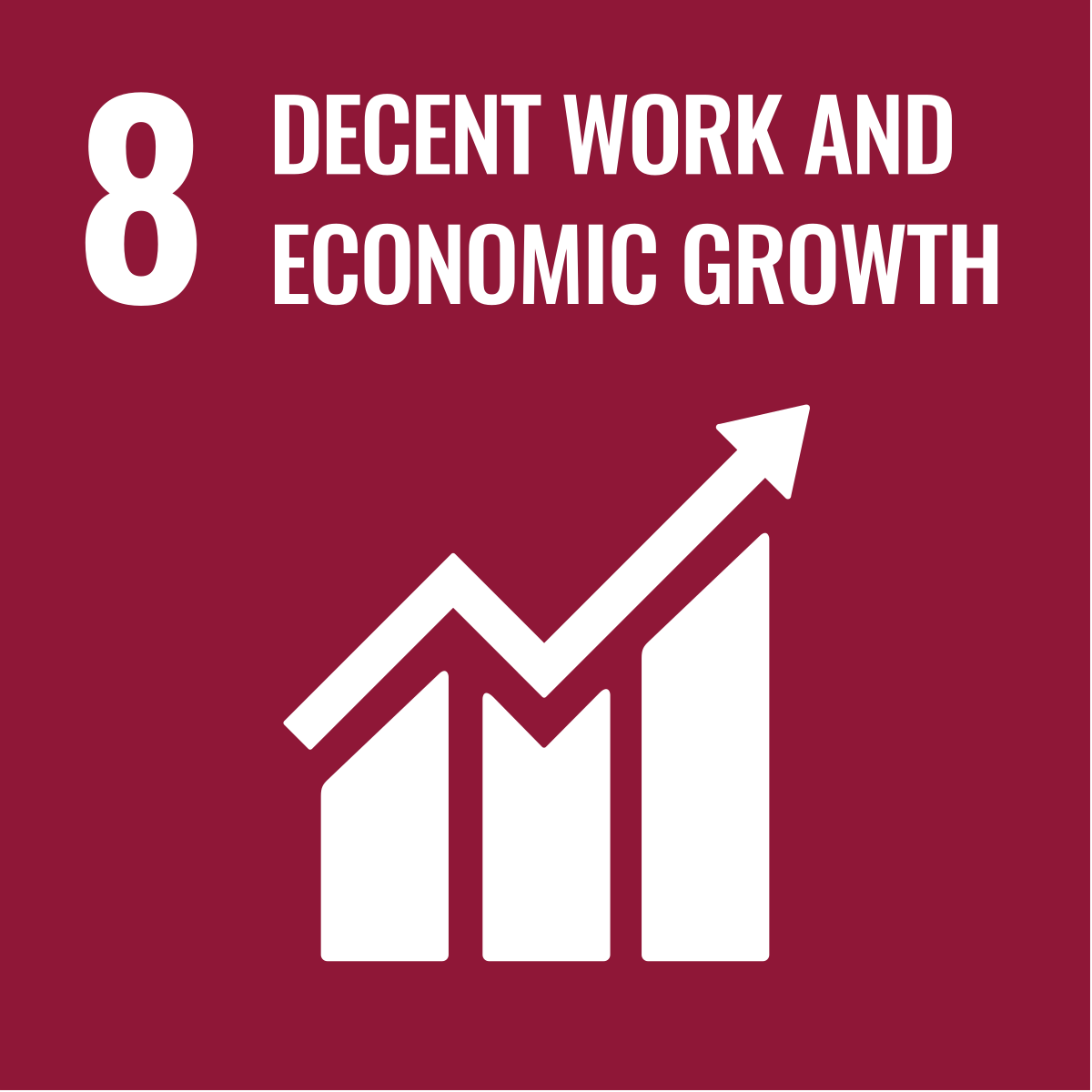 SDG 8